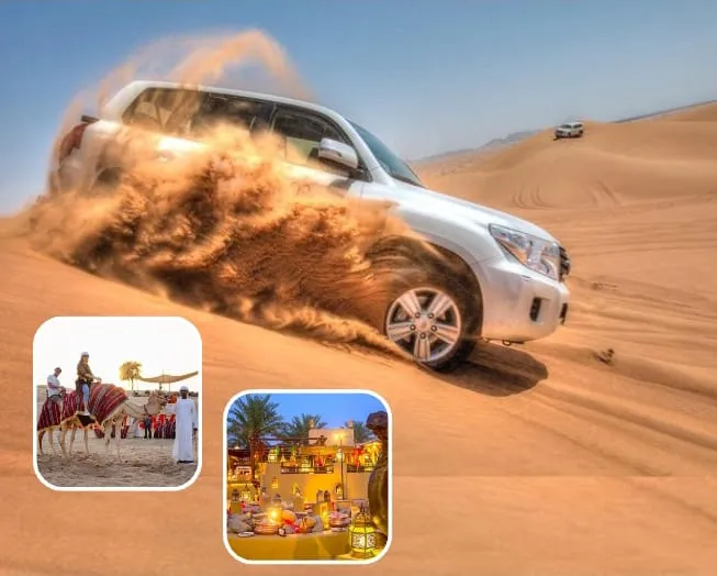 Vip Private safari